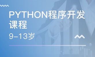 重慶南坪軟件開發培訓指南 課程、選擇與職業發展